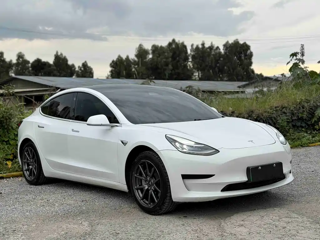 Tesla Model 3 — миниатюра 3