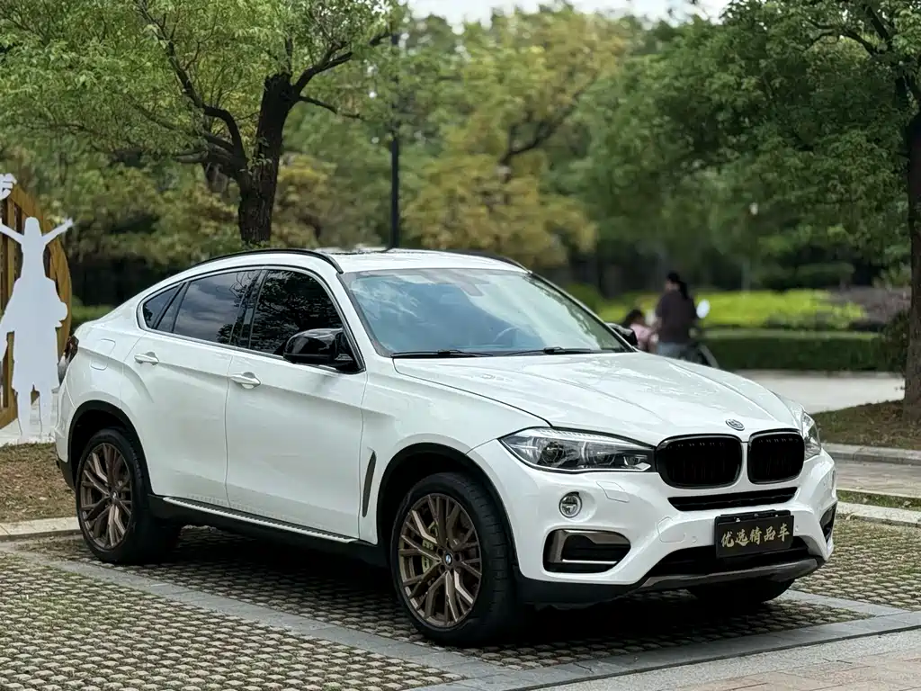 BMW X6 2017 xDrive35i Luxury
