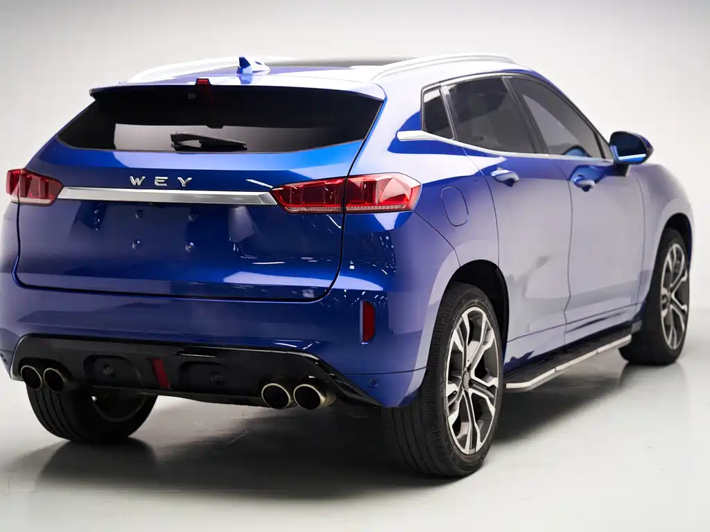 WEI PAI WEI BRAND VV7