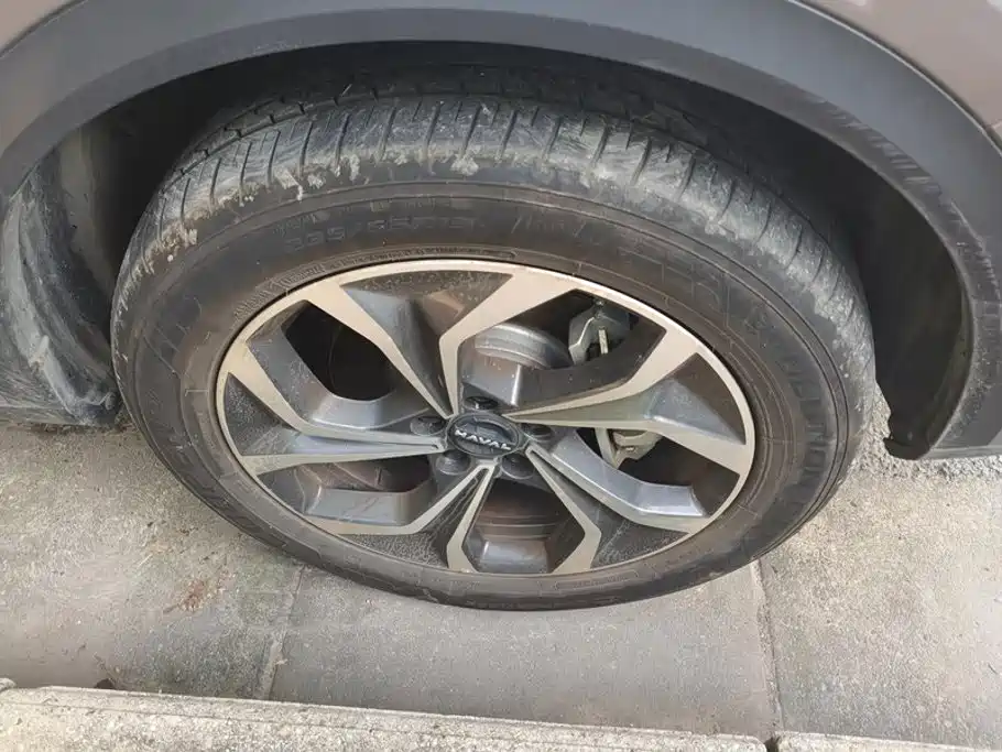 Haval Xiaolong MAX — миниатюра 6