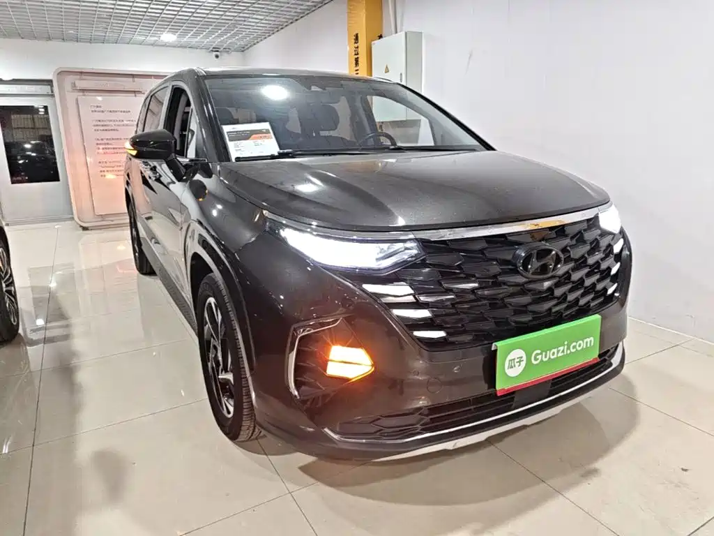 Hyundai Custo — миниатюра 4