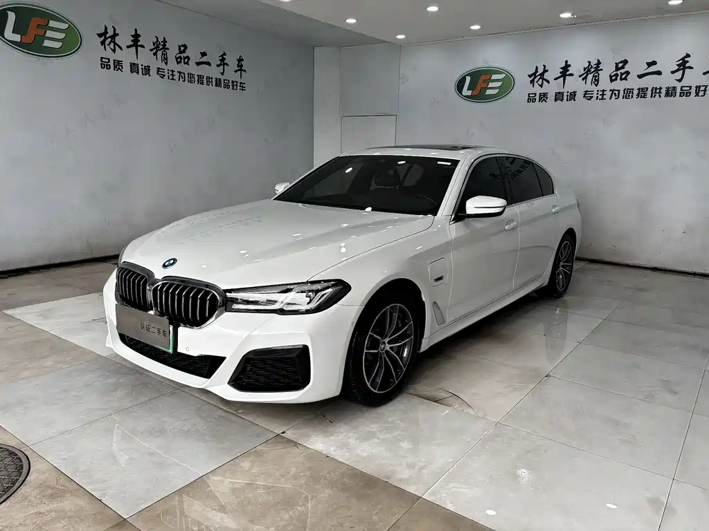 BMW 5 Series New Energy 2022