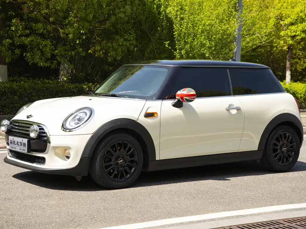 Mini Mini 2016