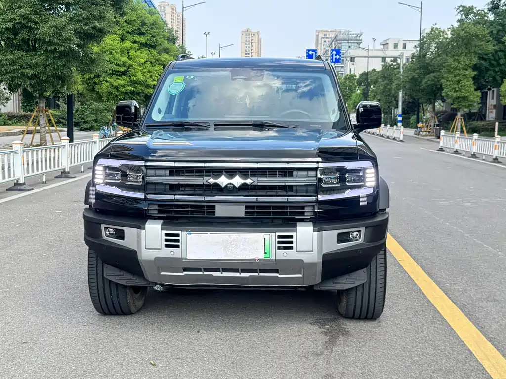 FANG CHENG BAO LEOPARD 5