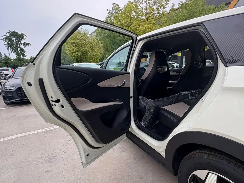 BYD Dolphin 2025 420km Freedom
