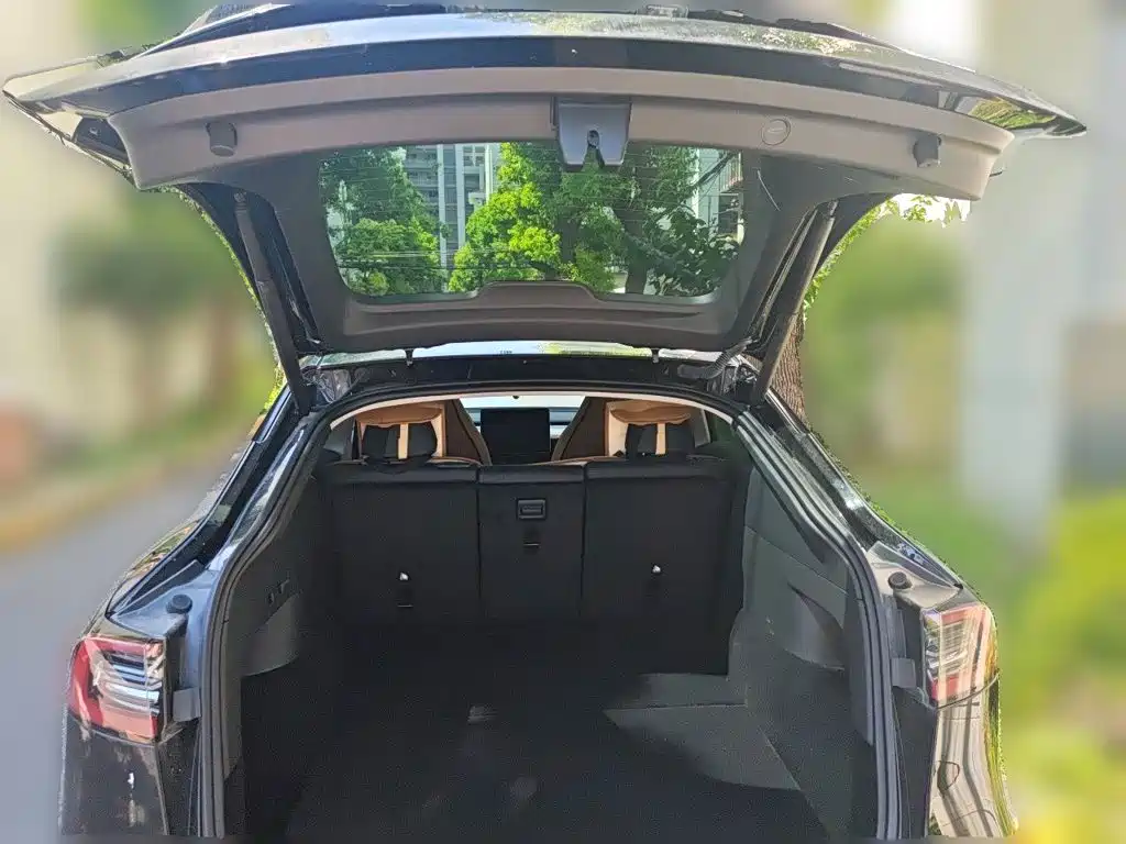 Tesla Model Y — миниатюра 15