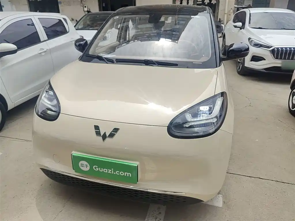 Wuling Binguo 2025 333km Enjoy