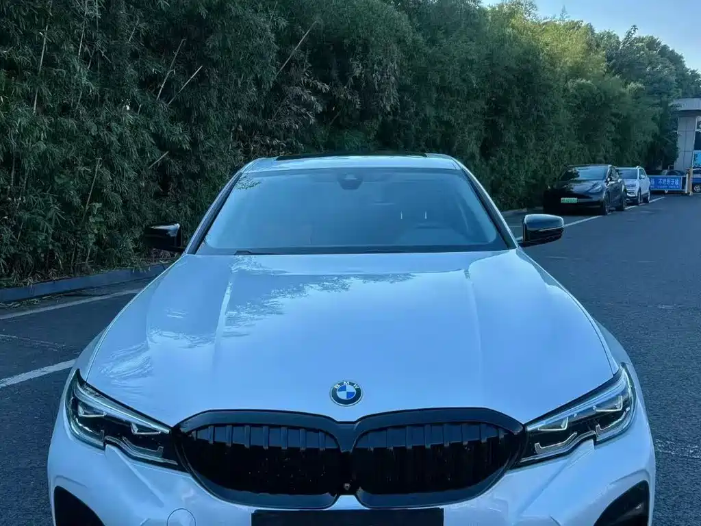 BMW 3 Series 3 2020 325Li M Sport