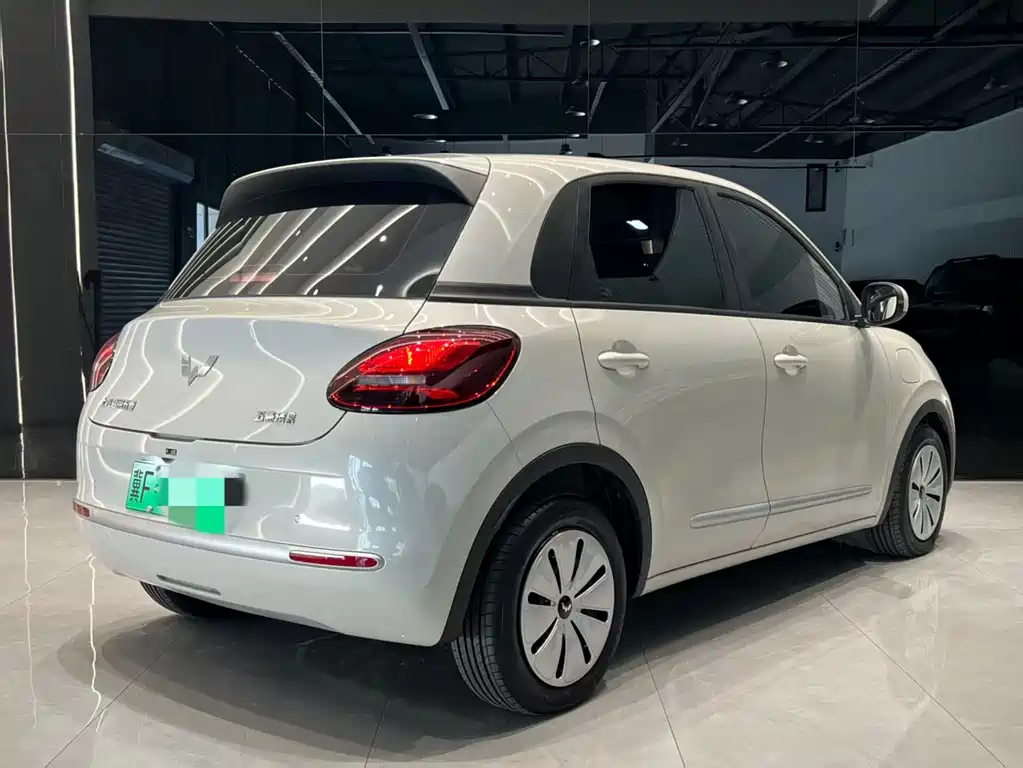 Wuling Binguo 2023 333km Enjoy