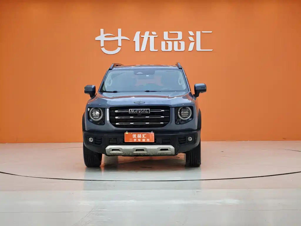 HAVAL BIG DOG
