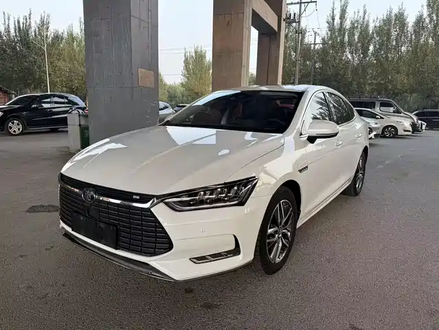 BYD QINHUANGDAO NEW ENERGY 2020