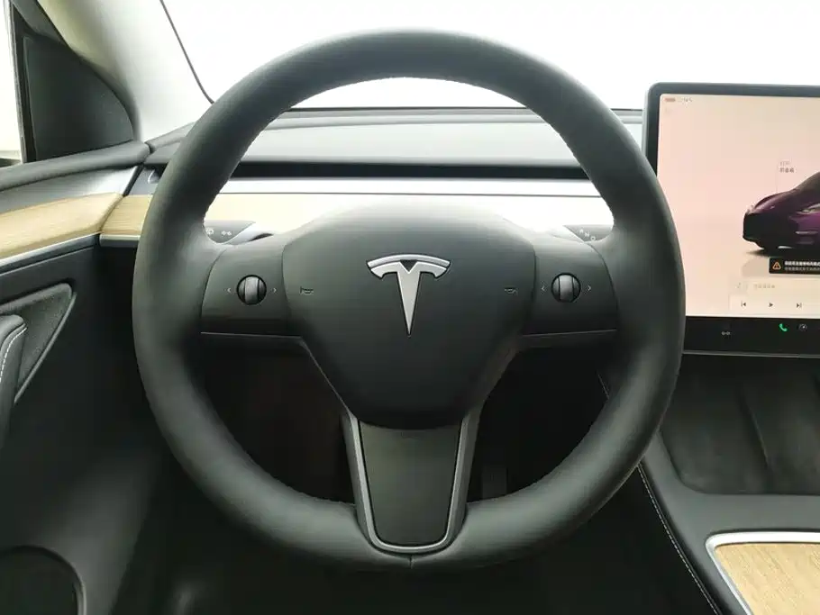 Tesla Model Y — миниатюра 15