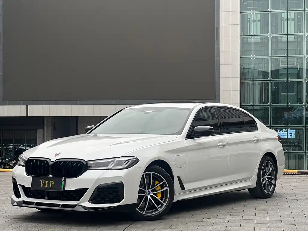 BMW 5 Series New Energy 2021