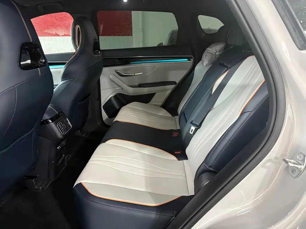 BYD PLUS New Energy — миниатюра 8