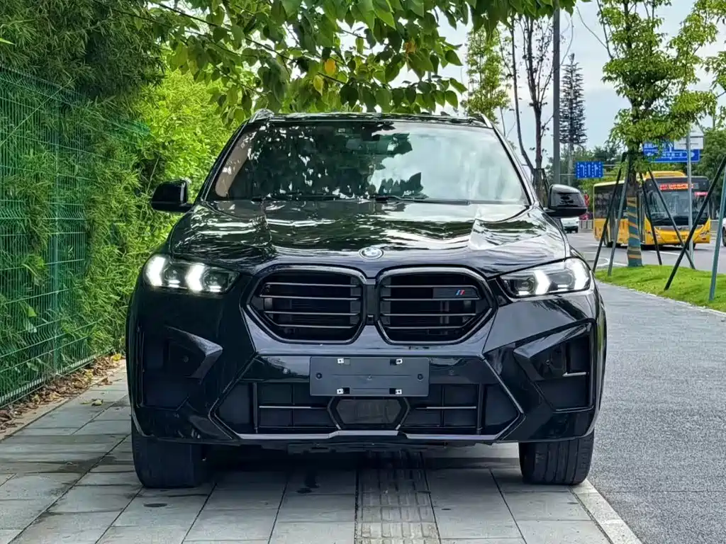 BMW X5 (Import) — миниатюра 2