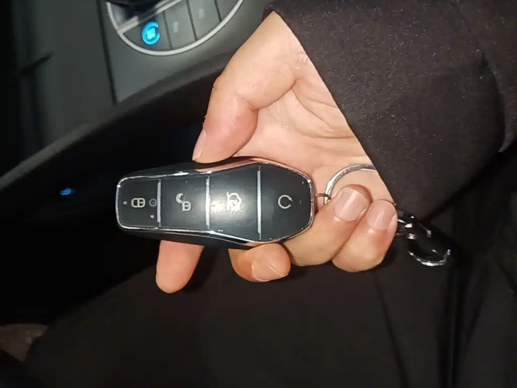 BYD Seal 05 DM-i 05 DM-i 2025 DM-i Smart Drive 120KM Flagship