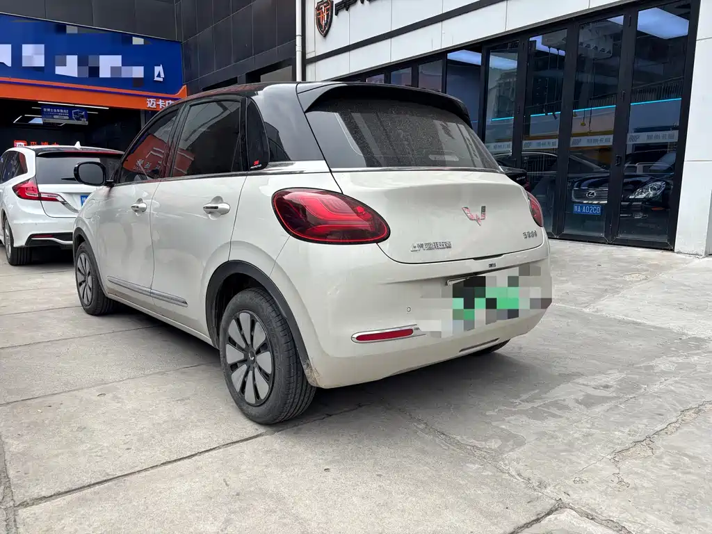 Wuling Binguo 2023 410km Premium