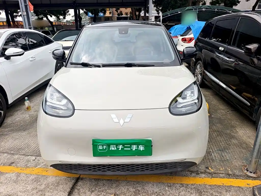 Wuling Binguo 2023 333km +
