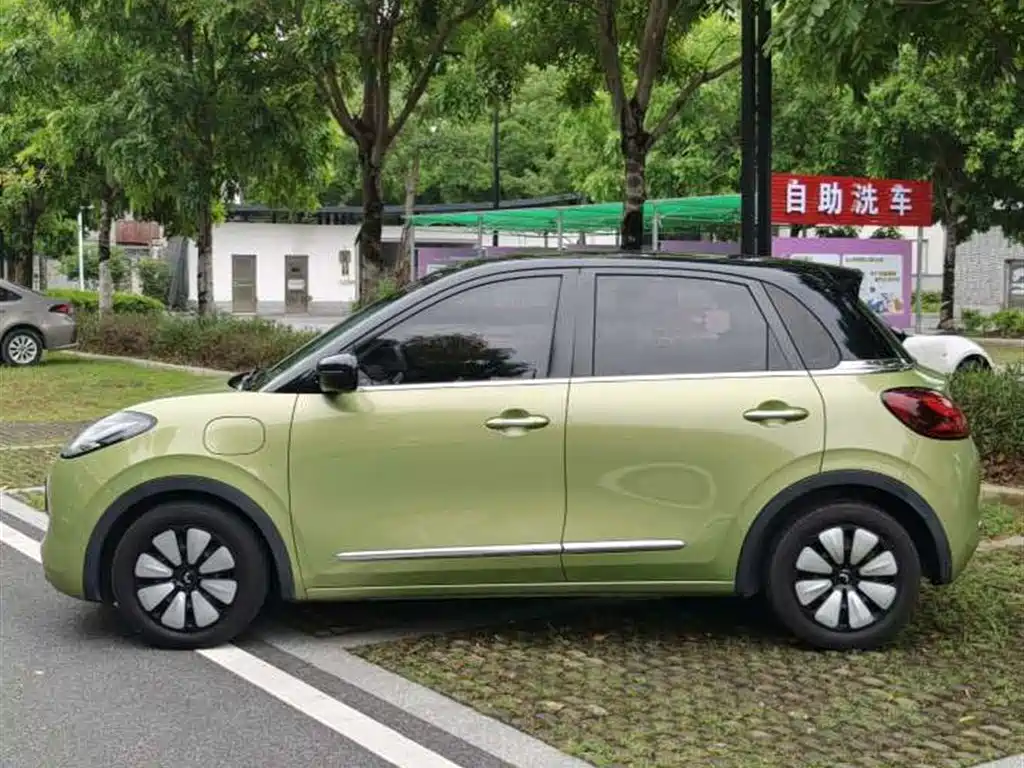 Wuling Binguo 2023 333km Enjoy +