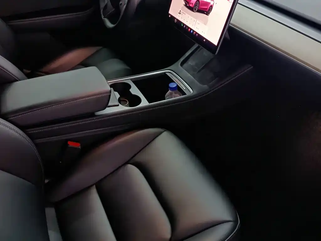 Tesla Model Y — миниатюра 6