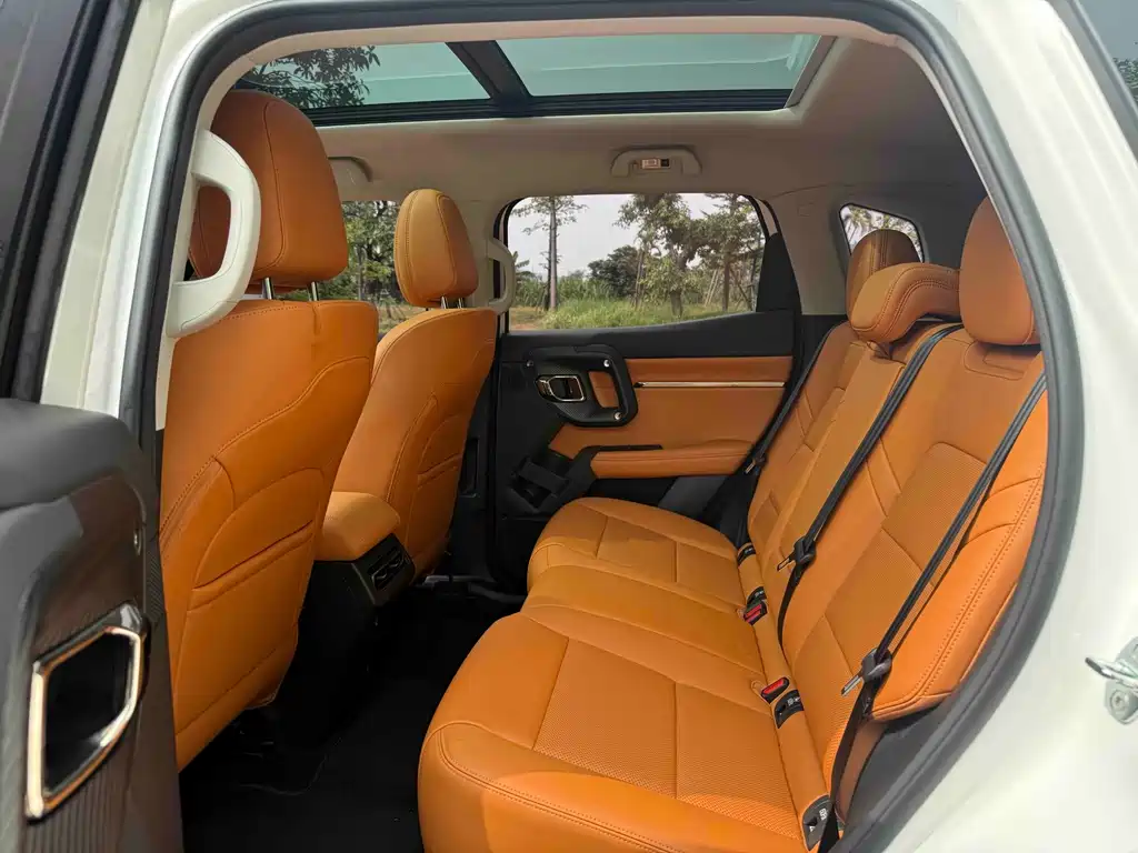 Haval Big Dog PLUS — миниатюра 7