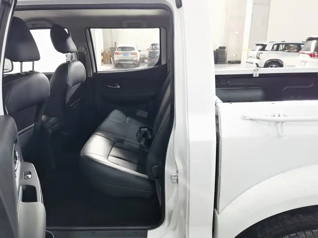 Dongfeng Rich — миниатюра 15