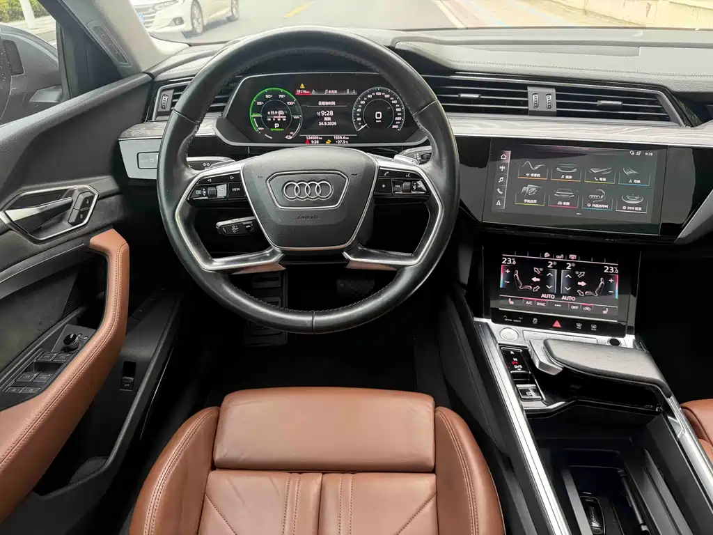 Audi e-tron (Import) — миниатюра 9