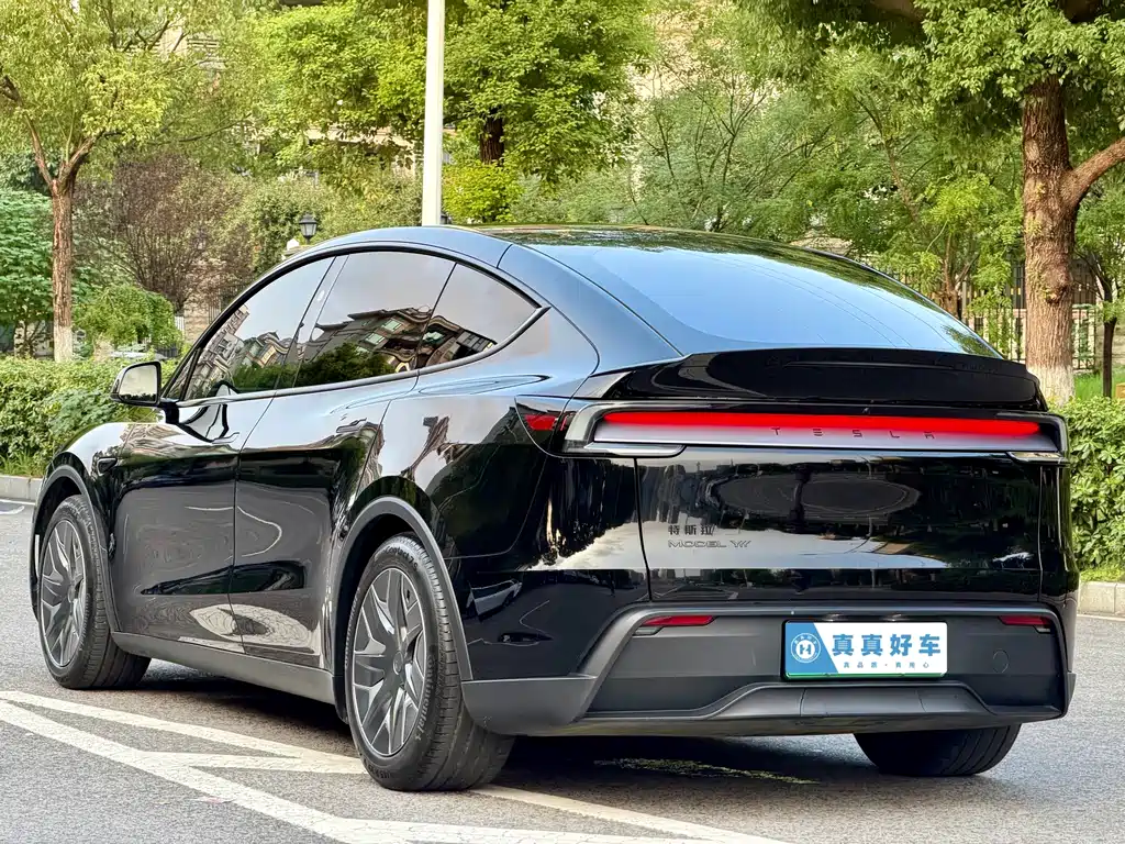 Tesla Model Y L — миниатюра 6