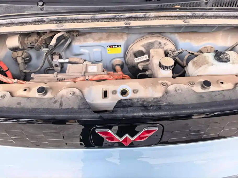Wuling Mini EV MINIEV 2020 Enjoy