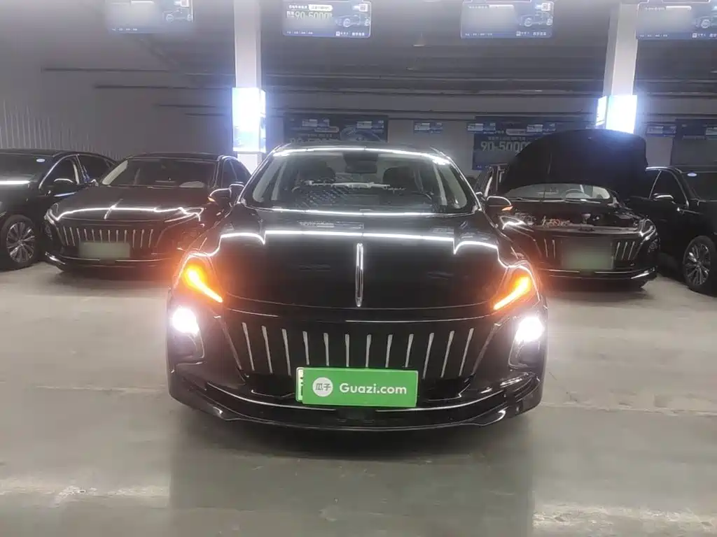Hongqi Hongqi E-QM5 — миниатюра 3