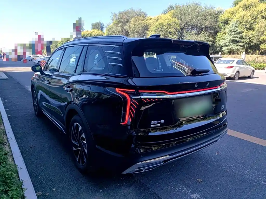 Hongqi Hongqi HS7 PHEV — миниатюра 5
