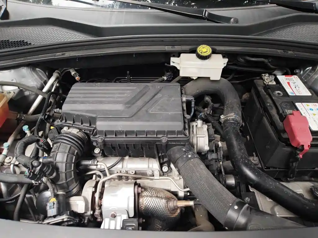 BYD PLUS — миниатюра 16