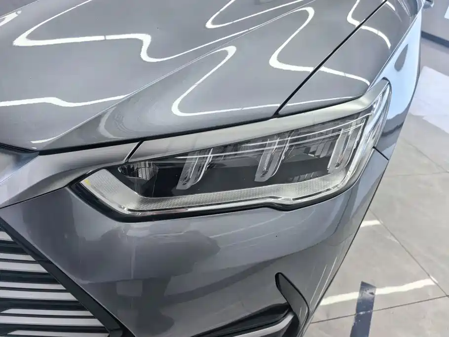 BYD Pro — миниатюра 5