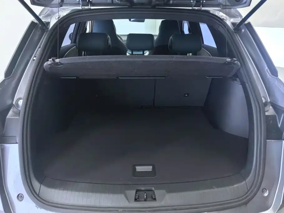 BYD Pro — миниатюра 4