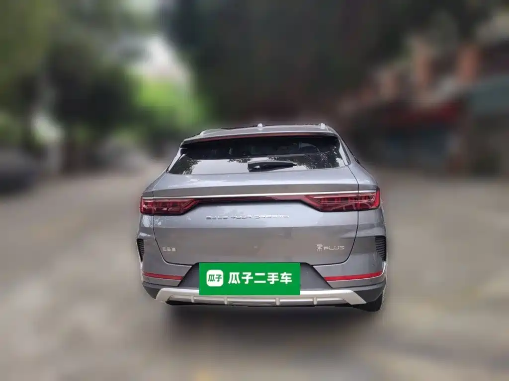 BYD PLUS — миниатюра 3