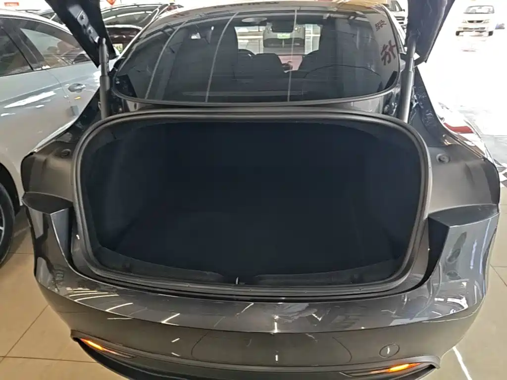 Tesla Model 3 — миниатюра 19