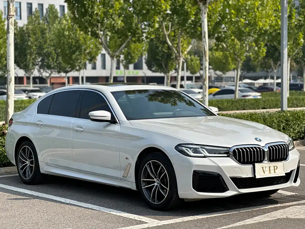 BMW 5 Series — миниатюра 3