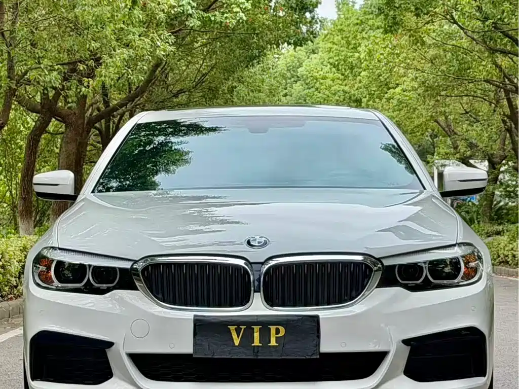 BMW 5 Series (Import) — миниатюра 2
