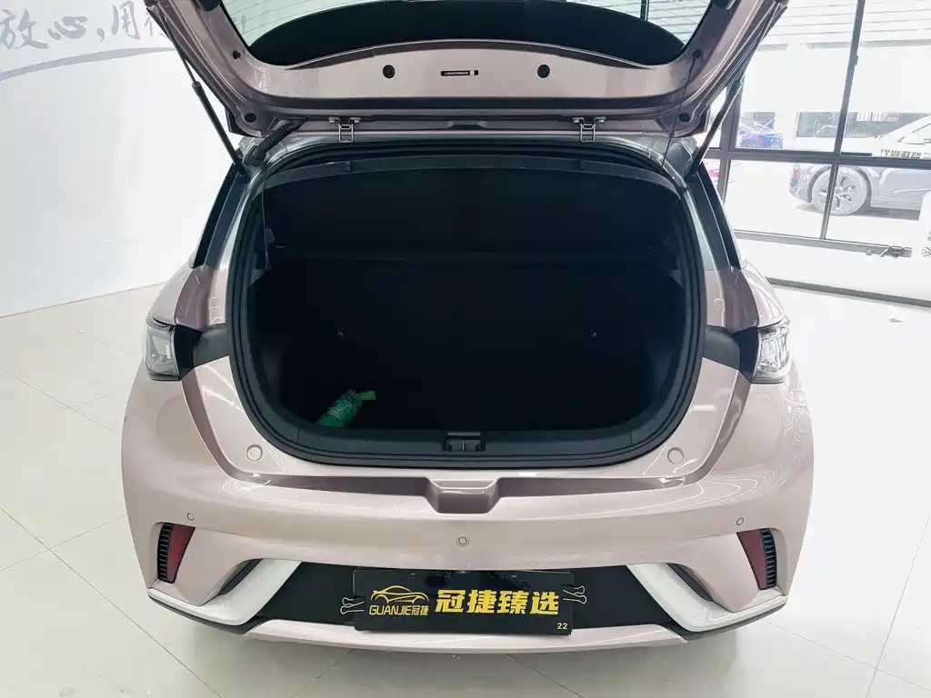 BYD Dolphin — миниатюра 14