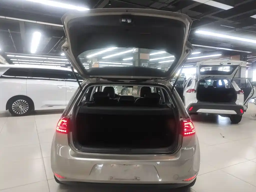 Volkswagen Golf — миниатюра 19