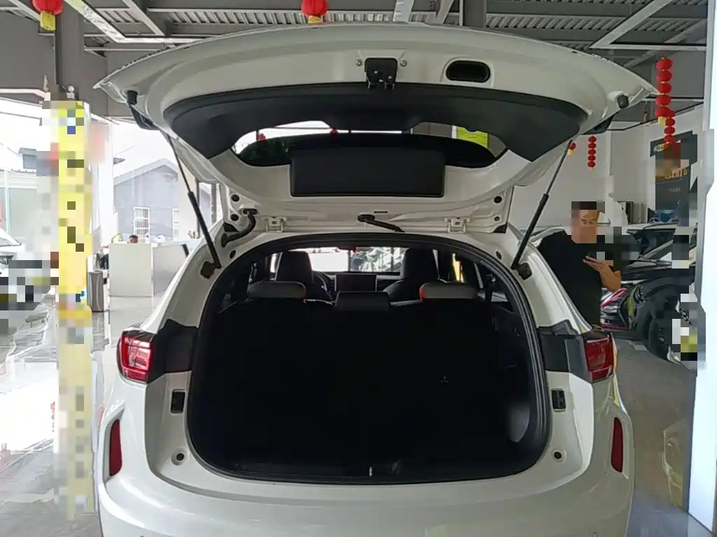 Haval Chitu — миниатюра 19
