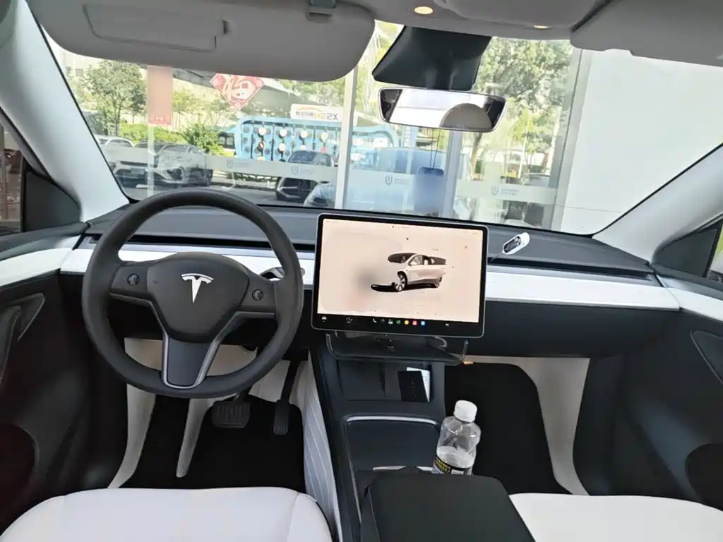 Tesla Model Y — миниатюра 10
