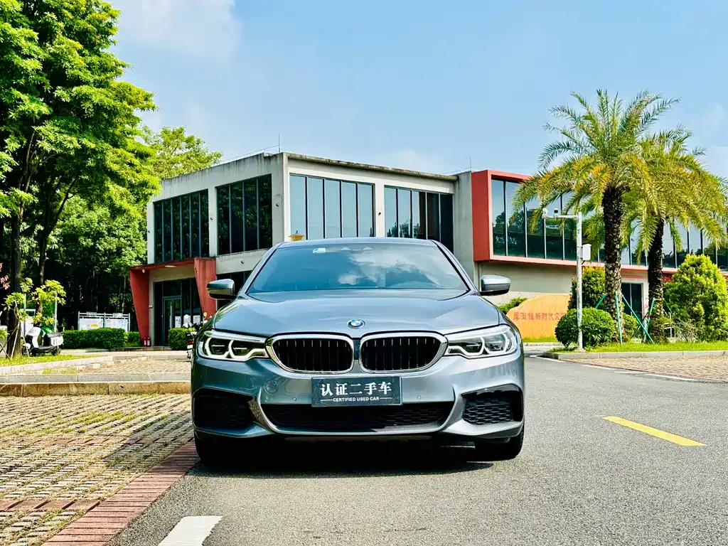 BMW 5 Series (Import) — миниатюра 3
