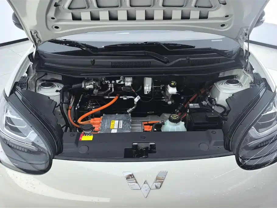 Wuling Binguo 2024 333km Enjoy