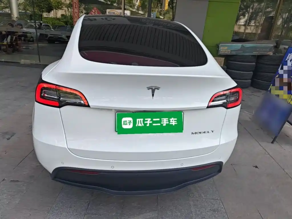 Tesla Model Y — миниатюра 6