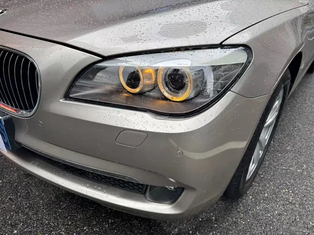BMW 7 Series 7 2009 730Li Lead
