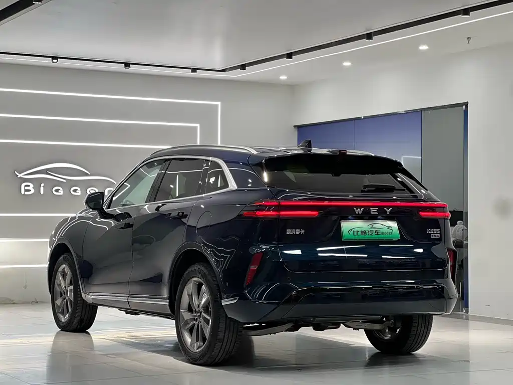 WEI PAI WEI BRAND MOCHA NEW ENERGY