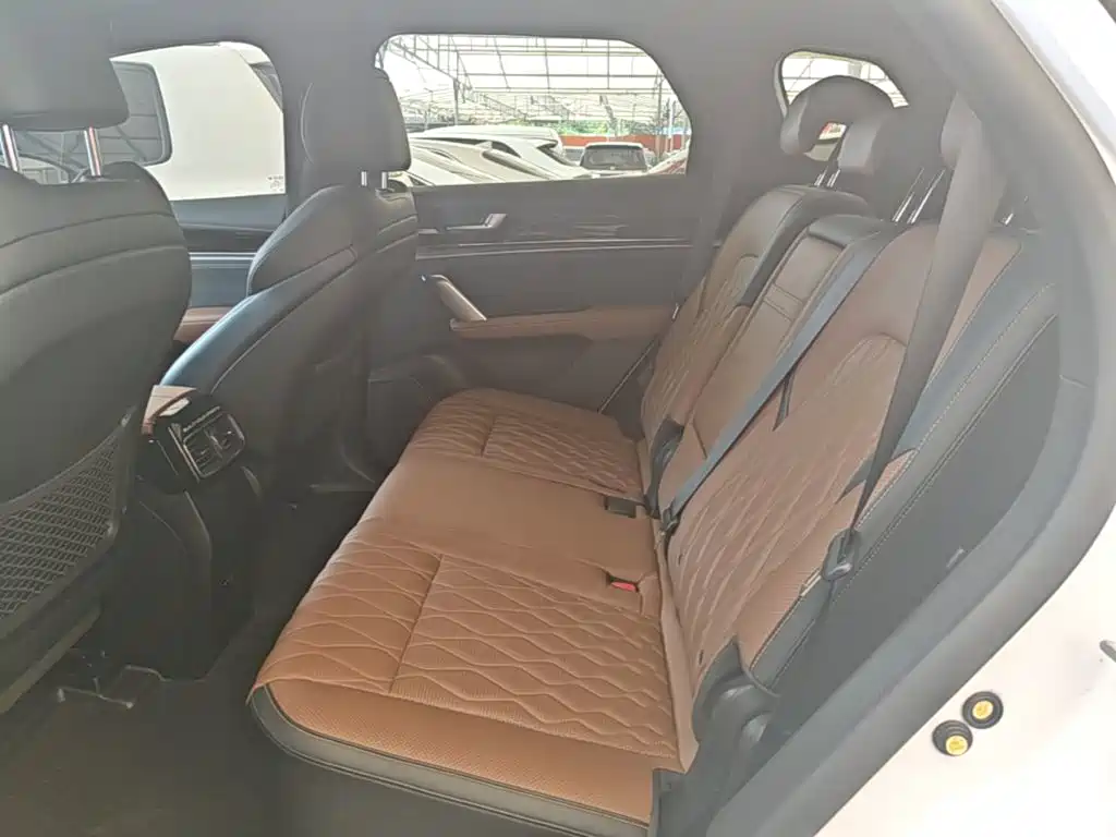 BYD Tang New Energy — миниатюра 17