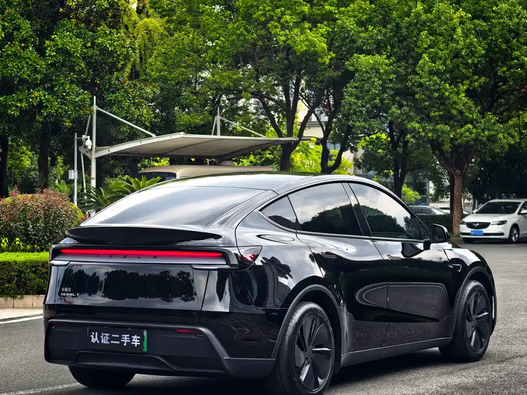 Tesla Model Y — миниатюра 7