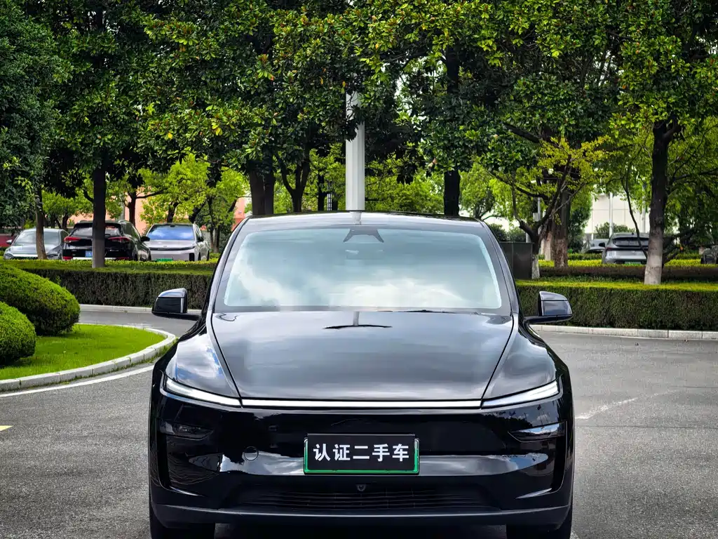 Tesla Model Y — миниатюра 2